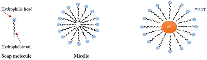 how does soap work and clean Skin and materials - hydrophobic lipophilic hydrophilic parts